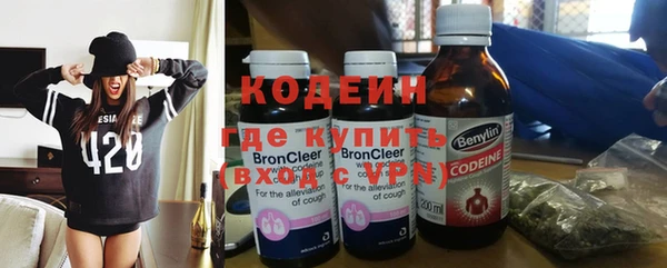 трава Белокуриха