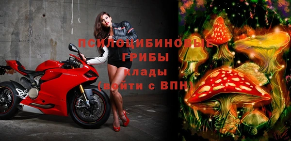 трава Белокуриха