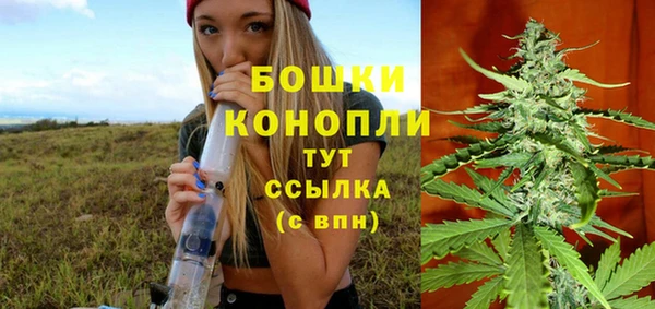 прущие грибы Белоозёрский