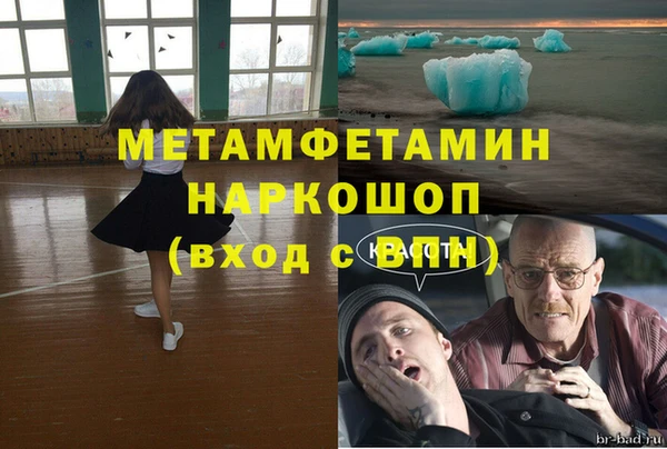 трава Белокуриха