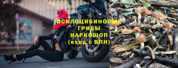 трава Белокуриха