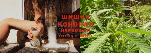 прущие грибы Белоозёрский