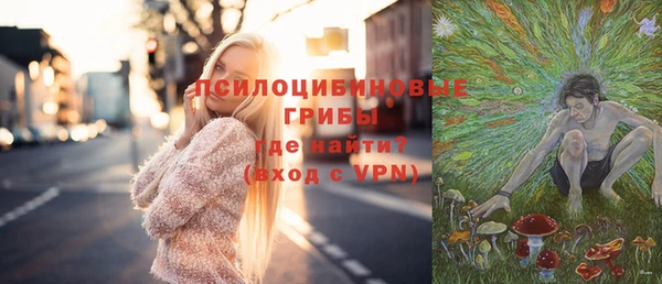 прущие грибы Белоозёрский