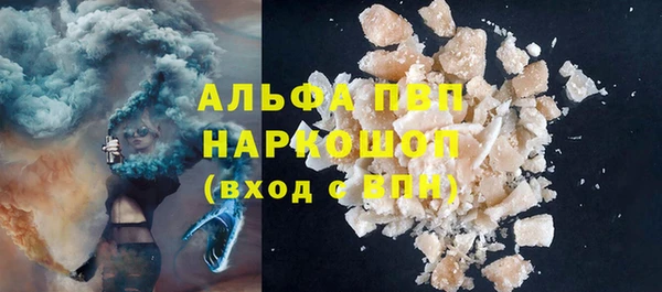 трава Белокуриха