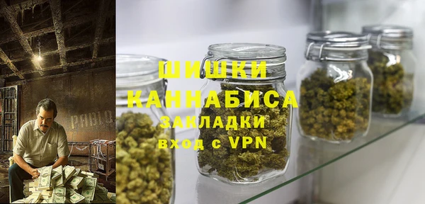 прущие грибы Белоозёрский