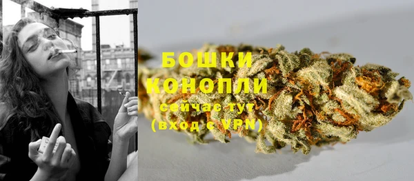 трава Белокуриха