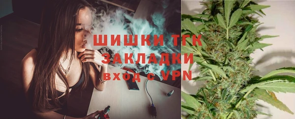 прущие грибы Белоозёрский
